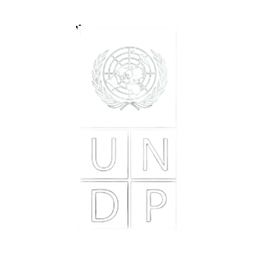 UNDP logo